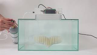 水中呼吸を可能にする人工のエラ Triton は実現できるのか 100光年ダイアリー