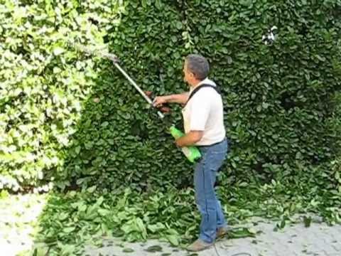 Potatore telescopico elettrico stihl