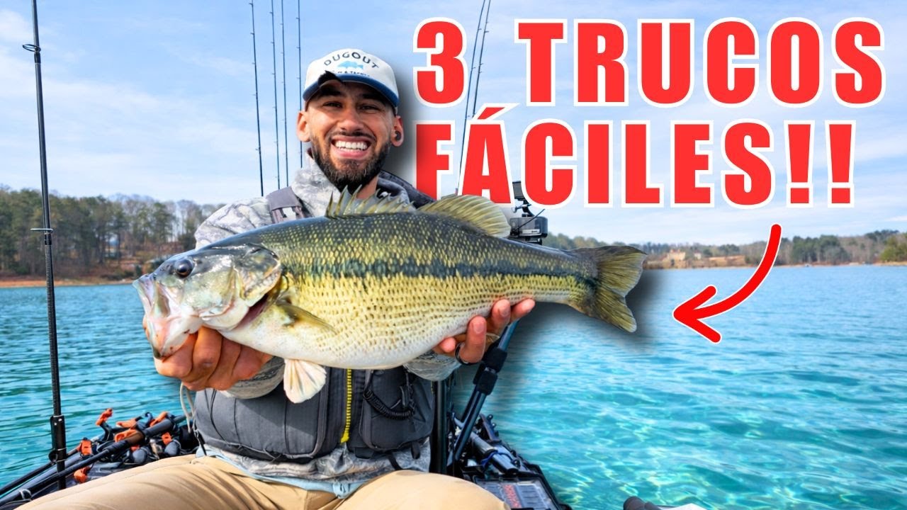 3 Trucos FACILES para Capturar Más Lobinas GRANDES