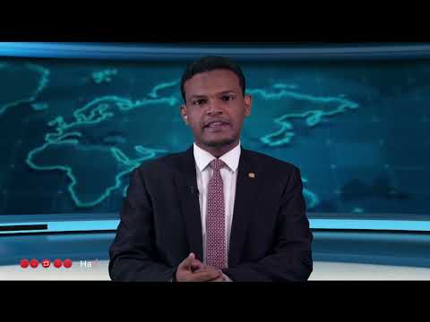 نشرة الأخبار (28\\12\\2023)