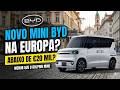 BYD prepara elétrico menor que o Dolphin Mini para a Europa