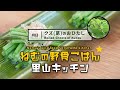 クズ（葛）のおひたし 世界の侵略的外来種を食べる 【ねむの野食ごはん 里山キッチン】