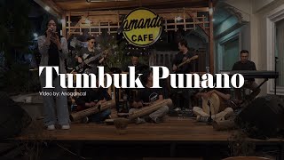 Tumbuk Punano [COVER] LIVE SHOW | ANOQQINCAI BTS