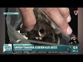 PASO HISTÓRICO | Designan jueces para el juicio de Garrido y Baigorria