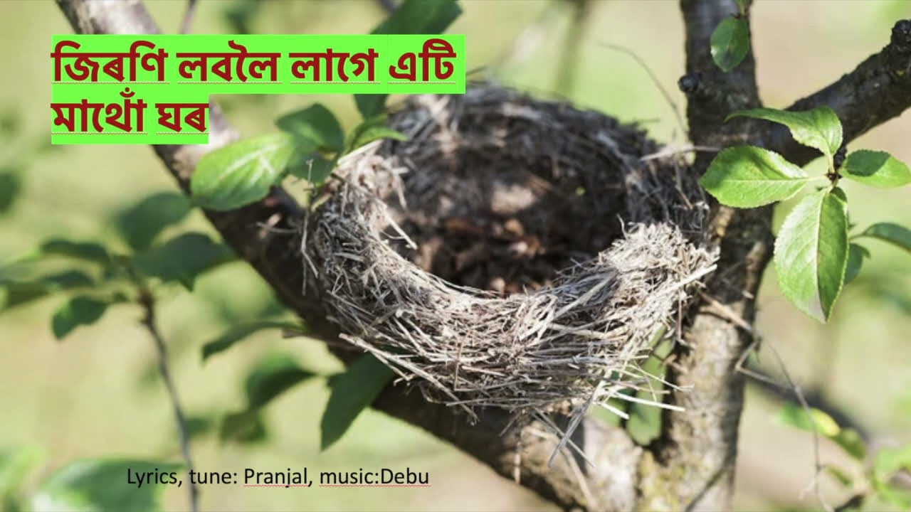 jironi loboloi lage eti mathu Ghor/Pranjal/