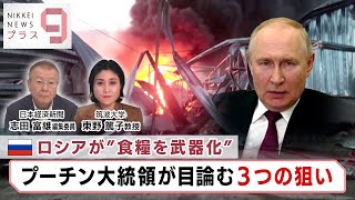 ロシアが“食糧を武器化” プーチン大統領が目論む3つの狙い【日経プラス９】（2023年7月25日）