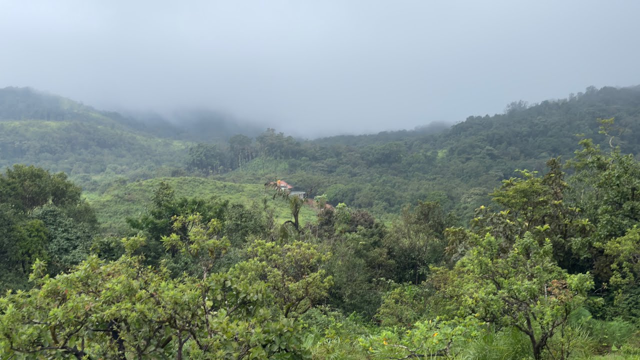 2 acres on record, 5 acres boundary for sale inbetween Sakleshpur,Mudigere 👌