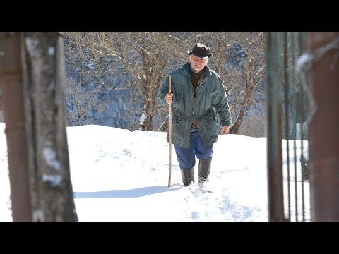 რეპორტაჟი რაჭველი მაისურაძეების სოფლიდან