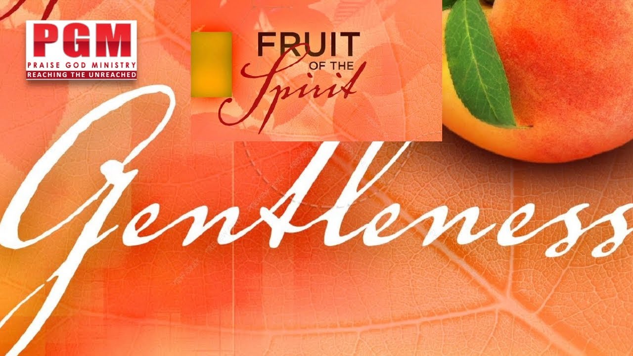 Thumbnail for Daily Bible Message || ఆత్మీయ ఫలములు – సాత్వికము || Fruit of the Spirit – Gentleness
