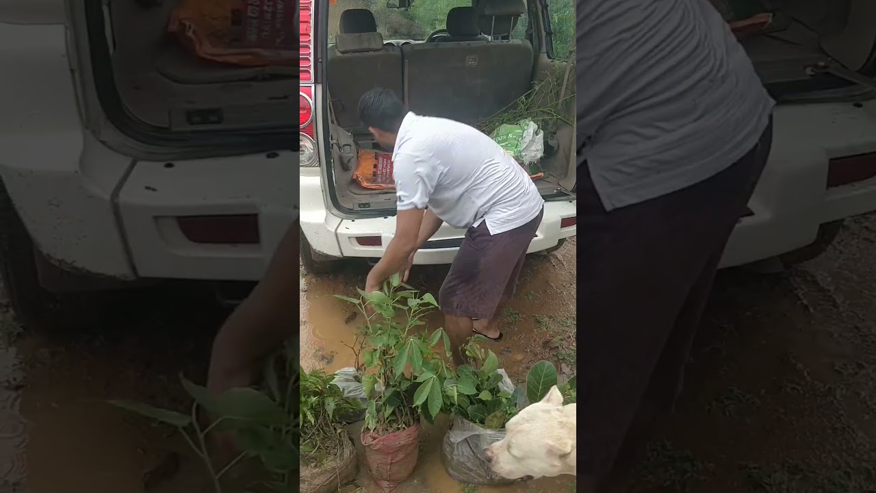 serving mother nature