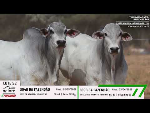 LOTE 52