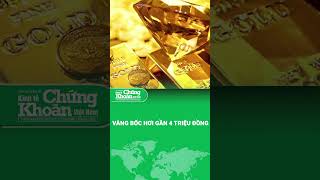 Gold prices plummet on June 6, down nearly 4 million VND per tael