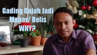 (1) Mengapa Gading Menjadi Mahar/Belis?
