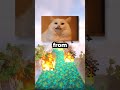 Wizard is a Gamer Now