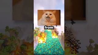 Wizard is a Gamer Now