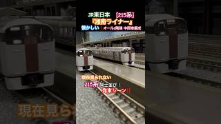 [懐かしい215系‼︎] 東海道線『湘南ライナー』が駅を発車するシーンを再現‼︎ #nゲージ #東海道線 #湘南ライナー #215系 #tomix #jr東日本 #快速列車