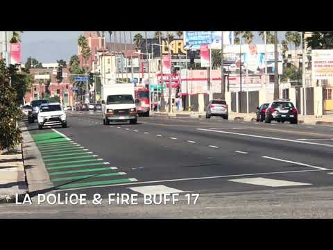 Lafd engine 46 responding