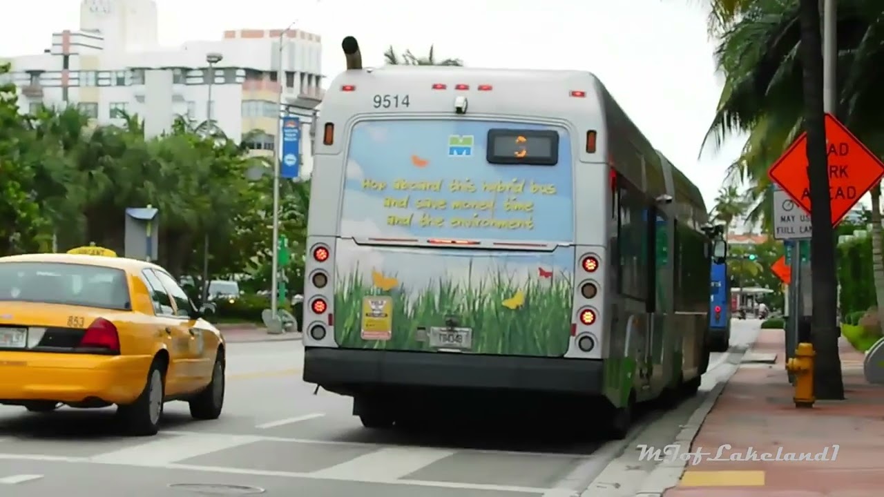 Bus Observations of Miami, Florida (June 2017)