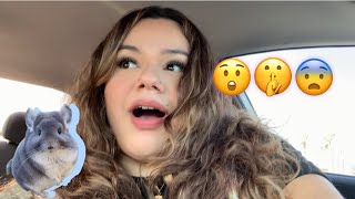 Chick Fil A | A new member to the family 😨 #chickfila #fypシ #trending #viral #food #funny #vlogs