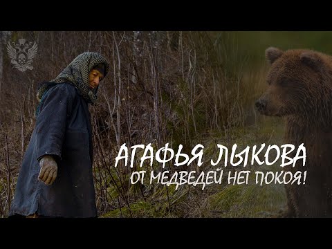 Агафья Лыкова. От медведей нет покоя!