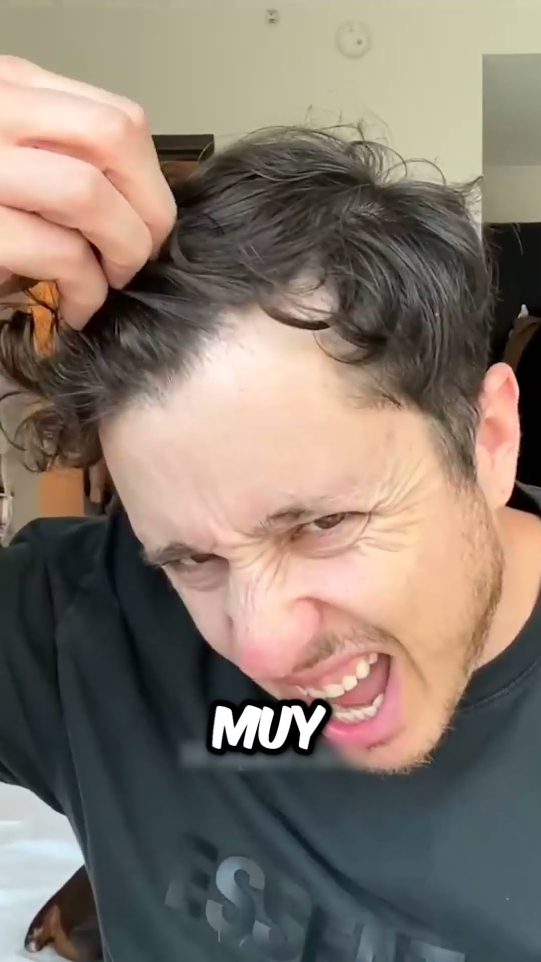 Truco para quitar el chicle del cabello ?