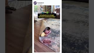 Komik İnstagram Yorumları Arkadaşına Yorgan Vermeyi Unutursan...