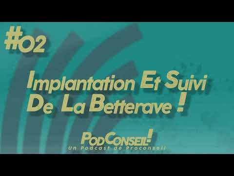 PodConseil #02 – Culture de la betterave