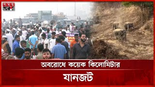 হাতির আক্রমণ থেকে বাঁচতে চট্টগ্রামে সড়ক অবরোধ | Road Block | Elephant | Chattogram News | Somoy TV