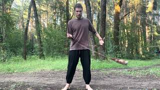 Pendulum - Beginner level
