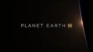 Planet Earth II – Edit