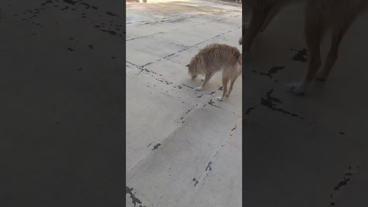 fuori a prendere aria fresca💞🐇