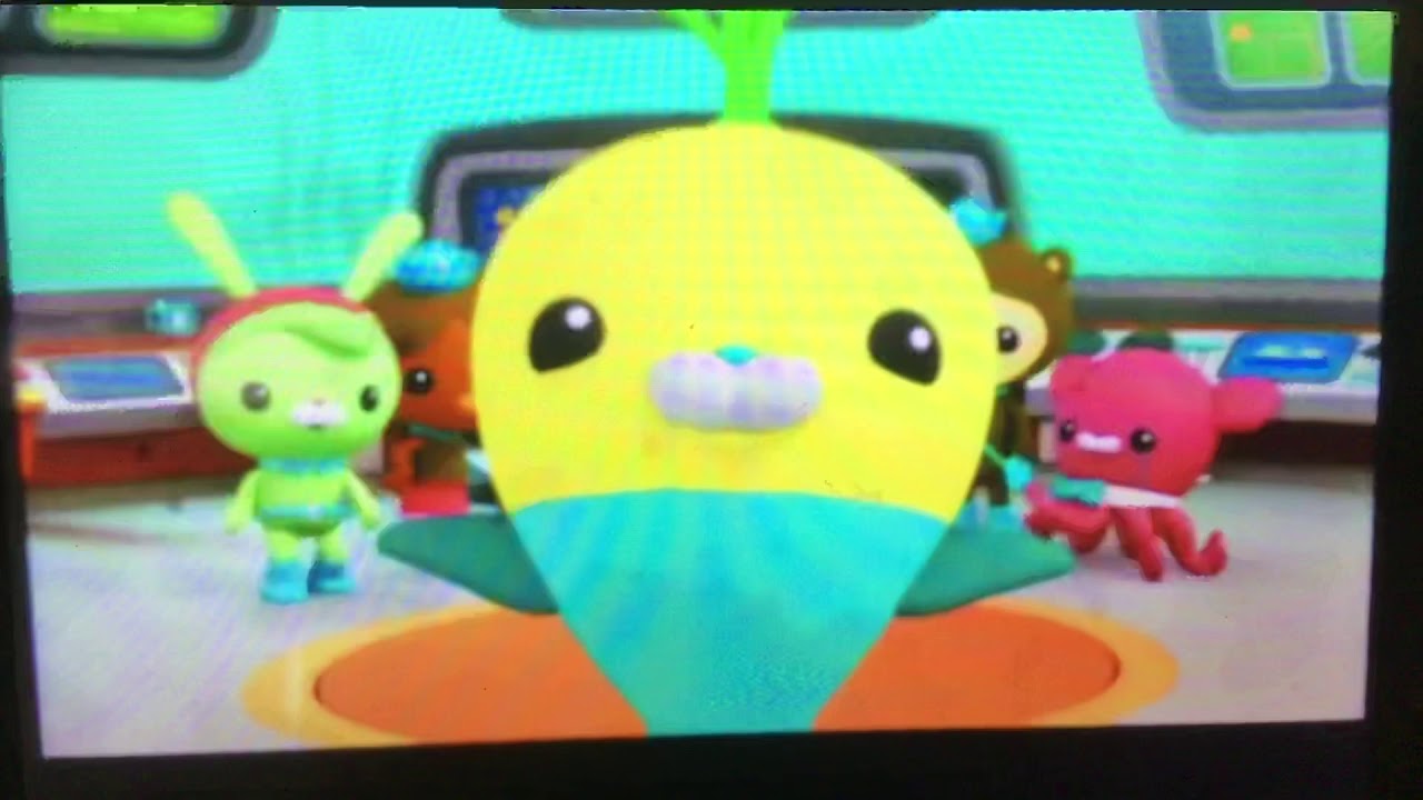 Octonauts creature report cone snail - golfagro