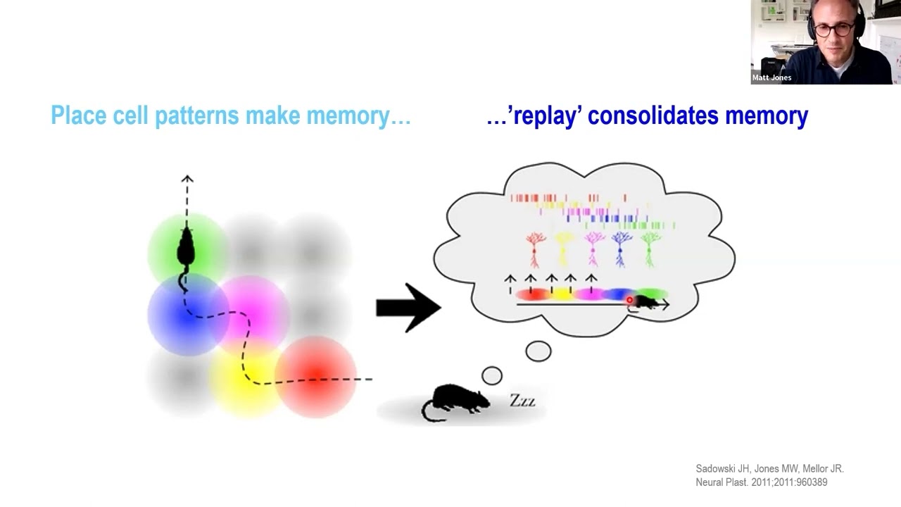 Thoughts that go bump in the night: sleep-sensitive circuits in psychiatry