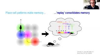 Thoughts that go bump in the night: sleep-sensitive circuits in psychiatry