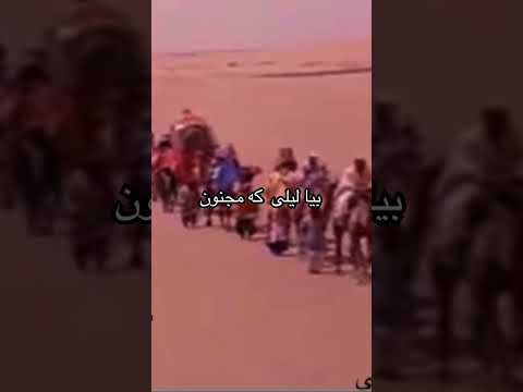 حبیب شریف بیا لیلی که مجنون Habib Sharif