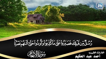 القارئ الطبيب أحمد عبد الحكيم | من سورة الانعام