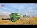 2019 Winter Wheat Harvest with Four John Deere Combines