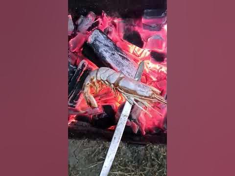 криветка - YouTube