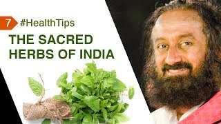 The Sacred Herbs Of India & Their Hidden Powers | #HealthTipsByGurudev | Health Tip 7