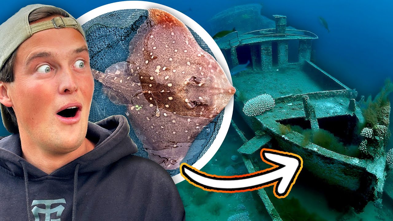 EXPLORING WAR WRECKS HIDING GIANT FISH