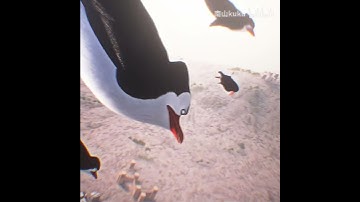 "cs2这一块" #csgo #cs2overpass #counterstrike #cos #遊戲 #遊戲 #gaming #csgomoments #游戏 #游戏 #cs2 #esports