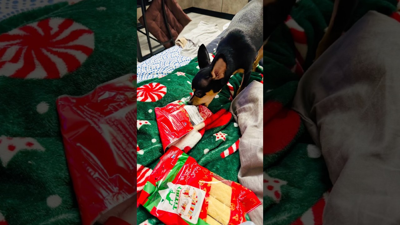 Кто успел, тот попробовал😂 