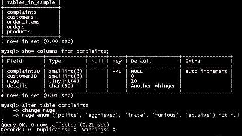 0604 ENUM column type
