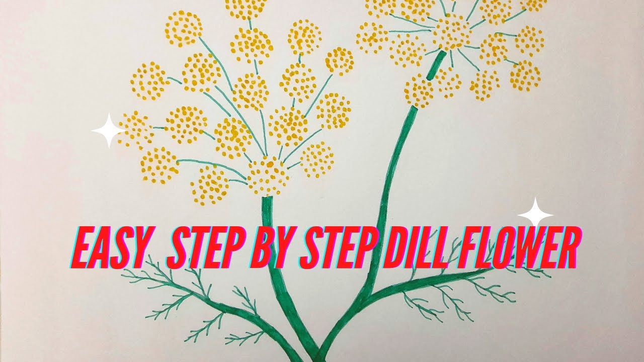 How to draw Dill flower | step by step | pencil sketching|easy drawing ...