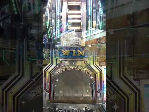 初めてポケモンのメダゲーで、500当たった