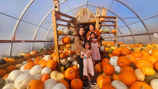 PRAIRIE GARDENS BON ACCORD AB 🇨🇦 #subscribe #cute #fall #2025 #family #fun #amazing #pumpkin