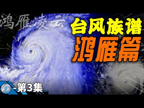 第3集 | 鴻雁凌雲 — 鴻雁颱風篇【颱風族譜】