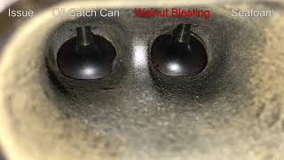 Walnut Blasting Intake Valve, Mishimoto Oil Catch Can and Seafoam - Mini Cooper S R56 Video 10