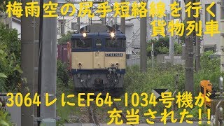 2019/07/03 [貨物列車] 梅雨空の尻手短絡線を行く貨物列車 3064レにEF64-1034号機が充当された!!