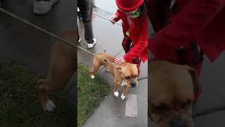 Trump rally in Eugene OR. Video courtesy of Alan Swinney